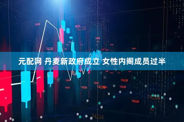 元配网 丹麦新政府成立 女性内阁成员过半