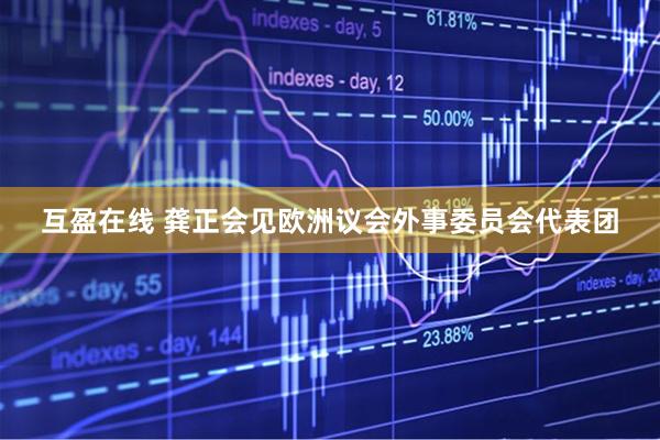 互盈在线 龚正会见欧洲议会外事委员会代表团