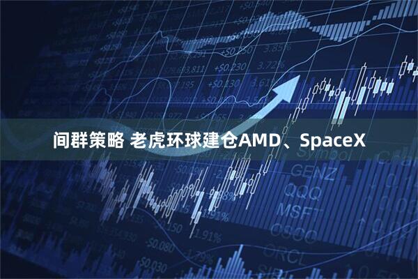 间群策略 老虎环球建仓AMD、SpaceX