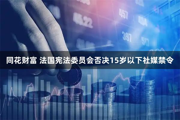 同花财富 法国宪法委员会否决15岁以下社媒禁令